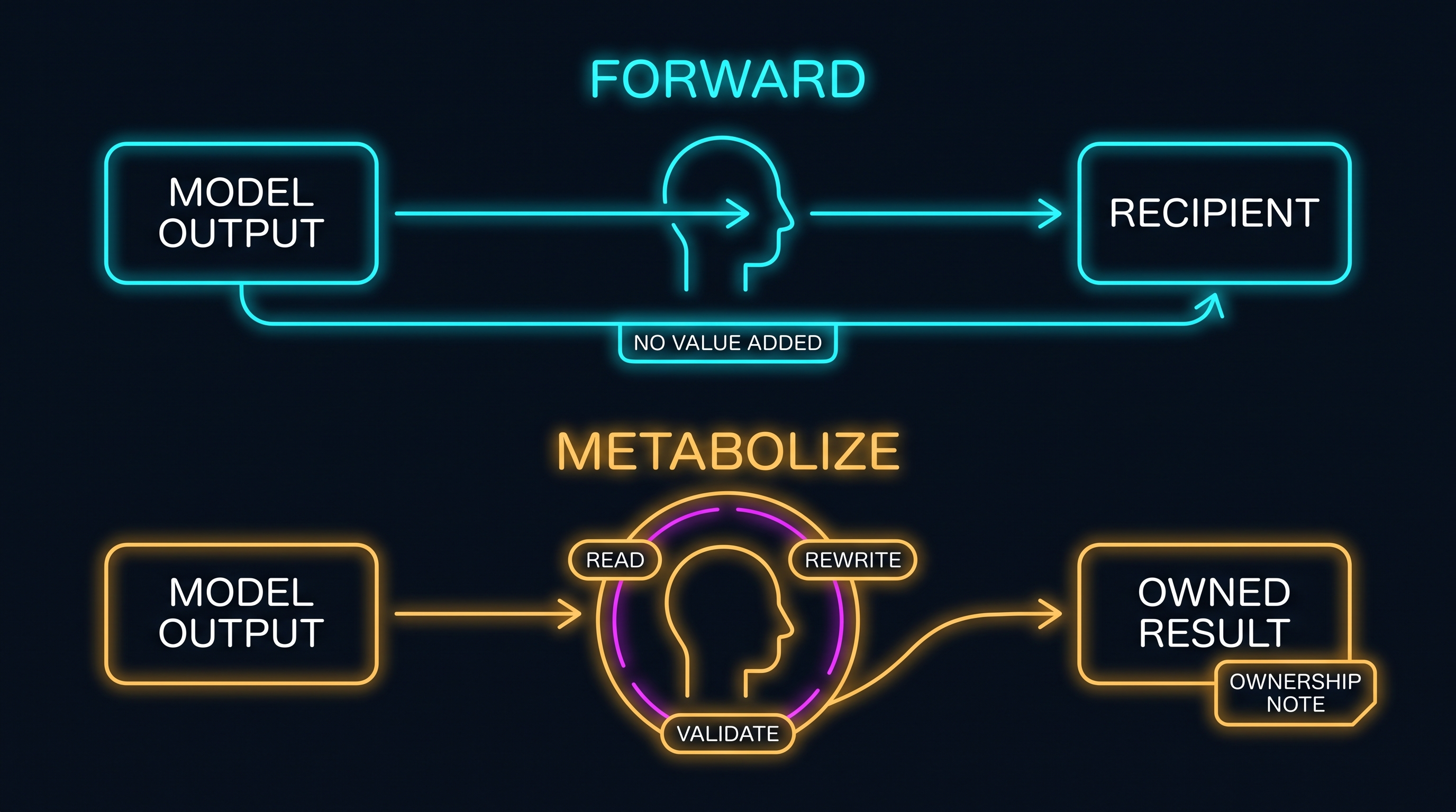 Two paths for a model's output: a Forward lane passing straight through a human unchanged with no value added, and a Metabolize lane where a human reads, validates, and rewrites it into an owned result with an accountability note